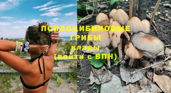 мет Ладушкин