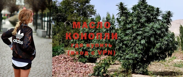 мет Ладушкин