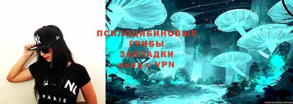 мет Ладушкин