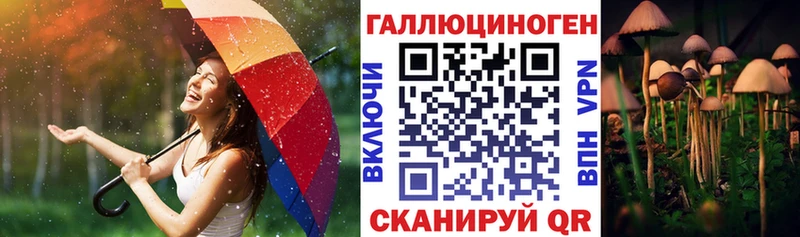 Псилоцибиновые грибы ЛСД  наркотики  кракен ССЫЛКА  Циолковский 